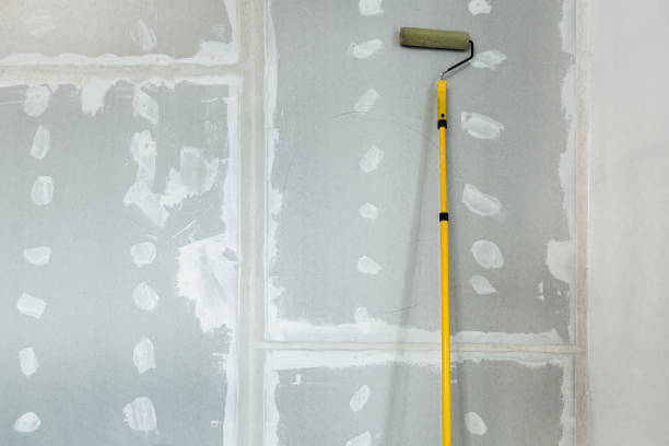 Best Comprehensive Air Testing for Mold Contaminants  in Connerton, FL